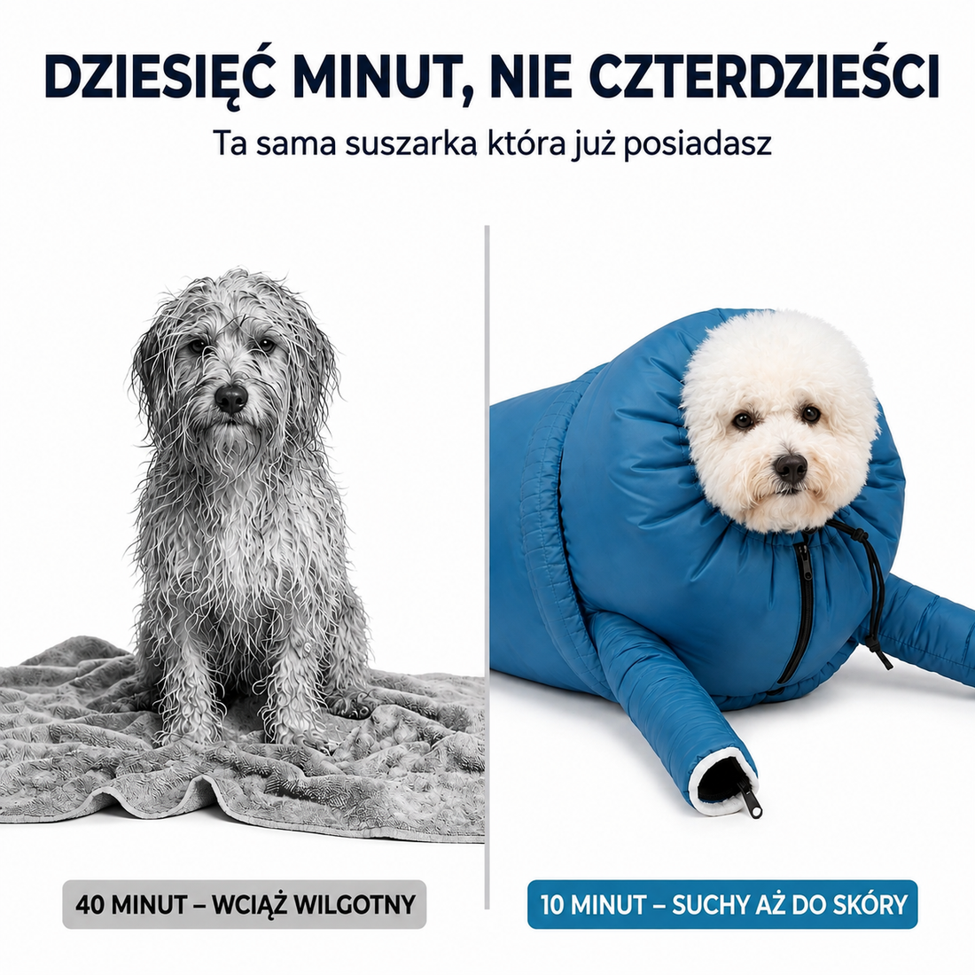 Dziesięć minut, nie czterdzieści — ta sama suszarka, którą już masz